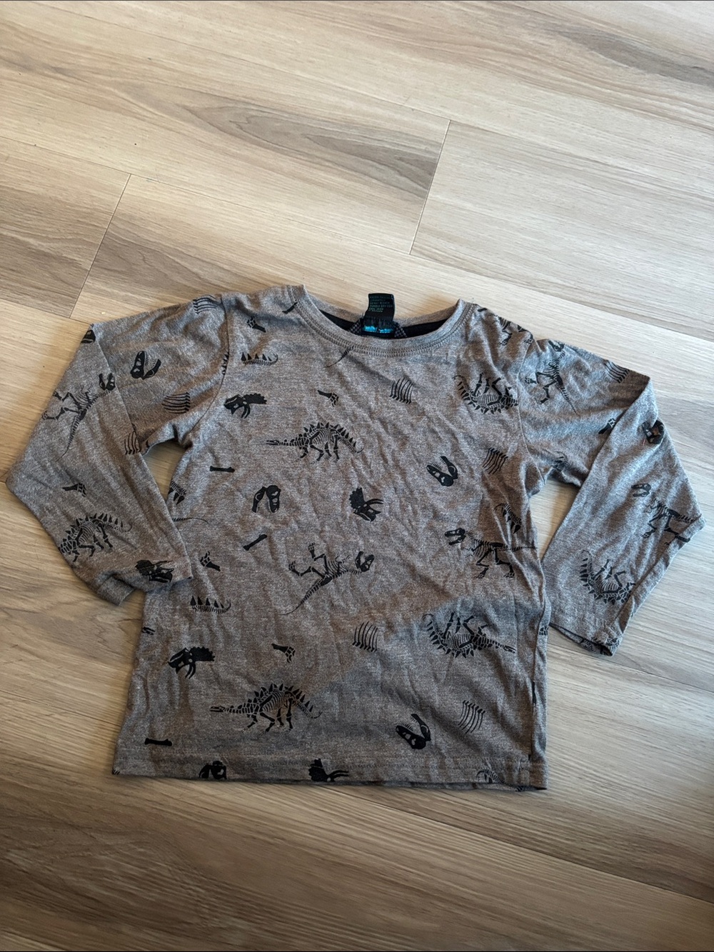 Kids' Long-Sleeve Dino Skeleton Tee - Gray